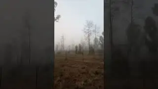 Fake fog #weathermanipulation #