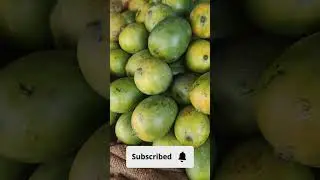 Can you find out the mango name #fruit #mango #manga #magic #mango #nursery #garden