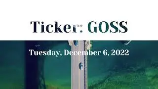 GOSS Stock Dec 6 Day Trading Simplified Technical Analysis 30 min Interval