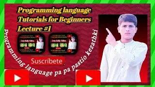 Programing language in pastio