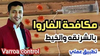 افضل طريقة لمكافحة الفاروا باستخدام الفورميك اسيد🦀🦀التبخير البطيئ🤔🤔تطبيق عملي