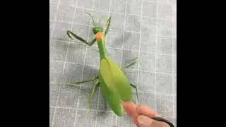 CB801223 (Running mantis realistic toy plastic infrared rc animal)