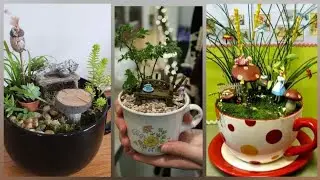 Beautiful awesome Tea cup mini garden flower arrangement idea's best collection forever