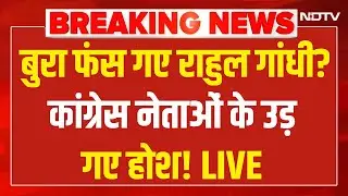 Big Action On Rahul Gandhi LIVE: राहुल गांधी देंगे इस्तीफा? | Delhi Protest |Ravneet Singh Bittu