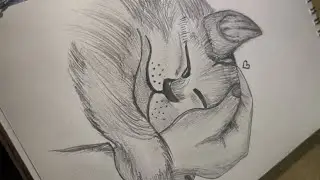 How to draw cute cat!!..#art #artist #sketch #drawingprocess #drawing #cat #artwork #drawingtutorial