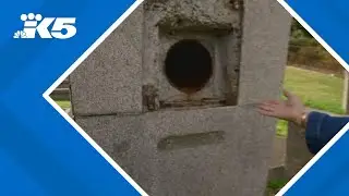 Family heartbroken over stolen plaques at Seattle park