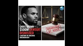 CHRIS BROWN&rsquo;S 500 MILL DEFAMATION LAWSUIT OVER A HISTORY OF VIOLENCE DOCUMENTARY DISMISSED BY JUDGE