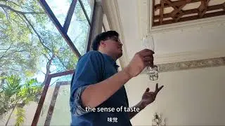 How to Properly Taste Tequila Like a Pro | Step-by-Step Guide