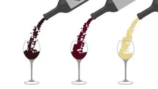 Direct Cellars Intro Video