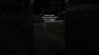 Silardayam shu mi axvolmi? 🖇️🤣😂&hearts;️&hearts;️