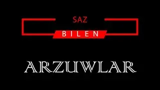 PÄLWAN HALMYRADOW _ ARZUWLAR (KARAOKE) 4K