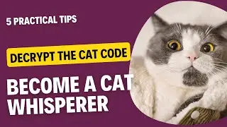 Decode Your Cat&rsquo;s Language: 5 Essential Tips to Become a Cat Whisperer