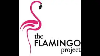 The Flamingo Project-No no magic