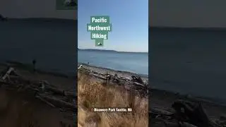 Easy Seattle Hike with Border Collie Puppy