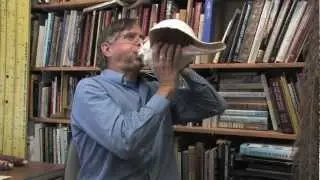 Ancient Mayan Conch Shells: Tools for Music and Art