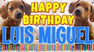 Happy Birthday Luis Miguel! ( Funny Talking Dogs ) What Is Free On My Birthday