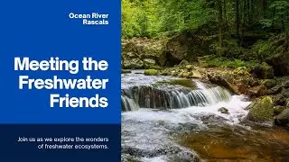 River Rascals: Meeting the Freshwater Friends