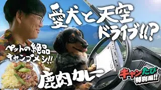 愛犬に食べさせたい！ココグルメで絶品キャンプペット飯～鹿肉カレー編