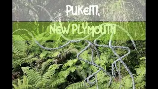 Pukeiti Park(Regional Park) #yaNabisalaamalaika   #newzealand #UMMEFAZIL VLOGS