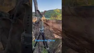 Nalec esperas de Corzo 2024