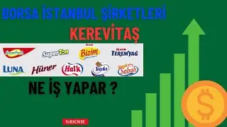 Kerevitaş Ne İş Yapar ? KERVT  - Borsa İstanbul Şirketleri !