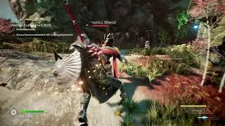 Godfall S-Rank Duelist