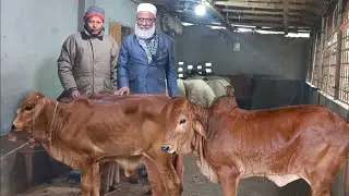 @আজ ১৮ জানুয়ারি