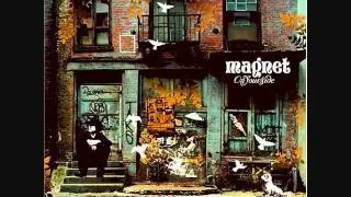 Magnet- little miss more or less