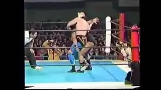 Satoru sayama vs negro navarro NPJW/AJPW HIGHLIGHTS