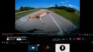 Зарофлили в Дискорд