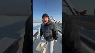 Режим кошки: раскрыты секретные способности 😼🔮