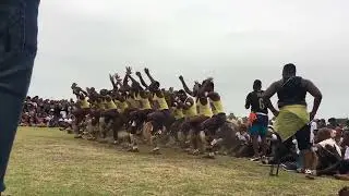 isiShameni Zulu Dancing (#1) at Nkandla,  kwaZulu Natal, South Africa: 1 January  2025