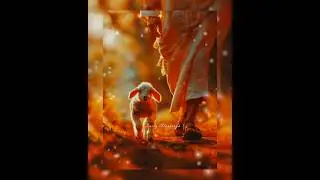 Daily Blessing ❤️&zwj;🔥Jesus ❤️&zwj;🔥My Shepherd Will Defend Me❤️&zwj;🔥Hallelujah ❤️&zwj;🔥Jesus is my defender ❤️&zwj;🔥
