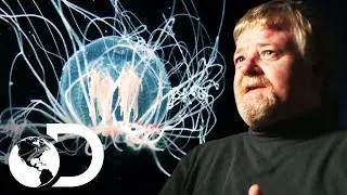 &iquest;Habr&aacute; vida en la luna helada llamada Europa? | Secretos de la NASA | Discovery Latinoam&eacute;rica