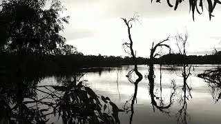 Wetland at Aldinga Scrub June 2020
