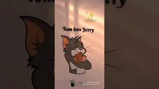 all animation back to back