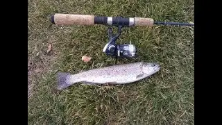 $25 Walmart Fishing Challenge (Trout)
