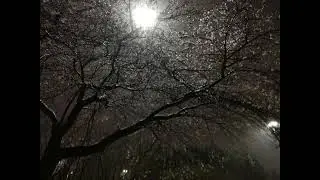COLD HEART (Ice's chase theme)