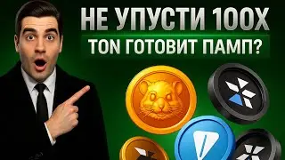 ⚠️ СРОЧНО! ЭКОСИСТЕМА TON, ГДЕ ЗАРАБОТАТЬ 100Х? ОБЗОР РЫНКА СТИКЕРОВ И ПОДАРКОВ
