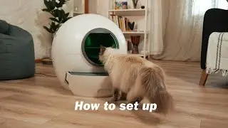 How to Set up Els Pet Self-cleaning Cat Litter Box?