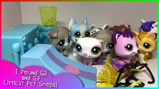 Я нашла в магазине игрушки Littlest Pet Shop G2 и G7! Покупки LPS 2026