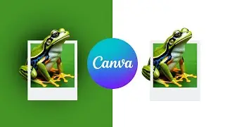 How to Create Stunning Canva Designs | Beginner Tutorial with Frog Art & Logo Tips | Canva Design
