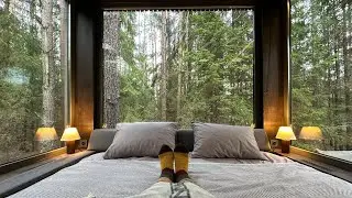 Видеообзор лесных шале Forest house