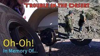 Неожиданная находка в пустыне