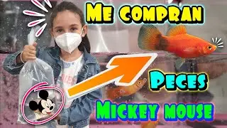 MONTAMOS UNA PECERA!! con Mis nuevas MASCOTAS -peces Mickey Mouse