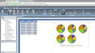 ERP Business Intelligence with Intelliplex