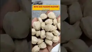 Soya badi making machine in factory 😲| Soya Badi | #soyabadi #automaticmachine #viral