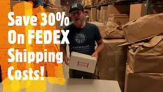 30% OFF Next day reptile shipping!