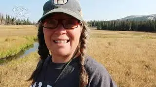 I'm Free! //Wandering Aimlessly in Wyoming