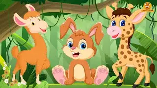Discover Animal Sounds: Llama, Rabbit, Giraffe, Dove, Meerkat, Pheasant - Animal Sounds